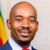 Nelson Chamisa
