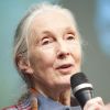 Jane Goodall