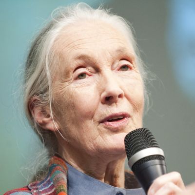 Jane Goodall