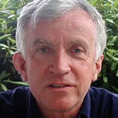 Shaun McNiff
